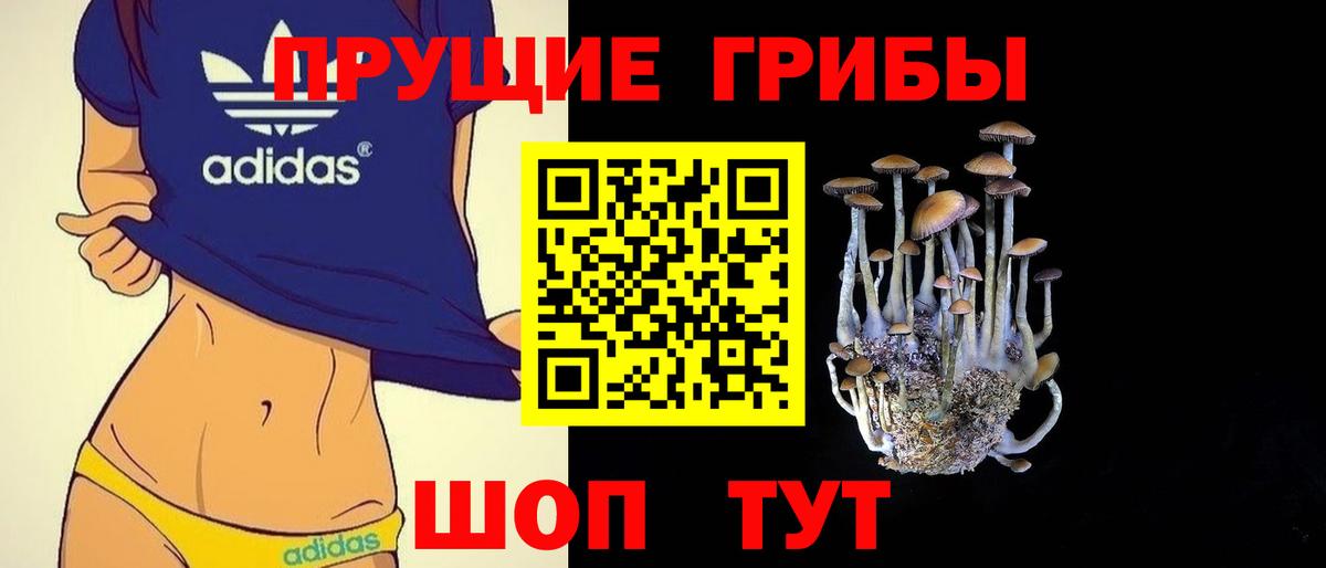 Галлюциногенные грибы Magic Shrooms Новодвинск